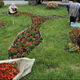Фото пресс-службы мэрии Бишкека. Посадка цветов